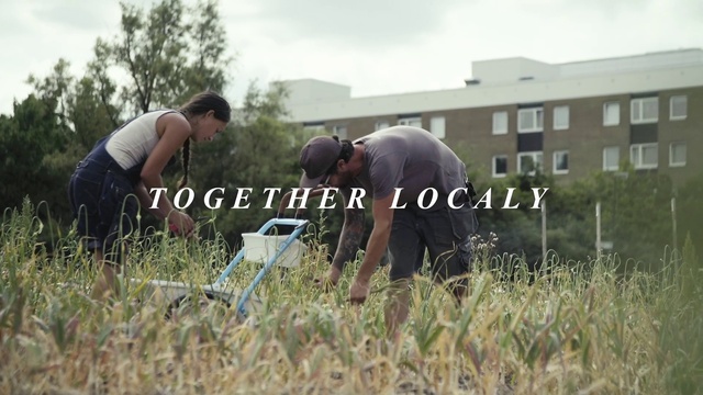 Video Reference: Sky, Plant, Shirt, Cloud, Sunglasses, Window, Grass, Tree, People in nature, T-shirt