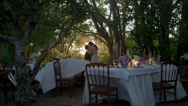 Video Reference: Furniture, Table, Tablecloth, Tableware, Chair, Decoration, Tree, Leisure, Event, Linens