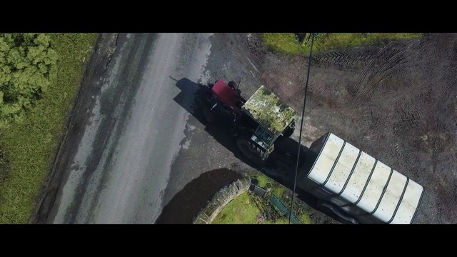 Video Reference: Plant, Automotive tire, Grass, Asphalt, Road surface, Slope, Tree, Landscape, Tints and shades, Automotive wheel system