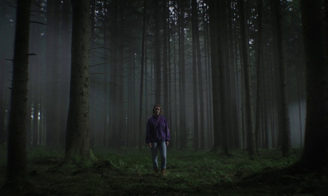 Video Reference: Plant, People in nature, Natural landscape, Wood, Terrestrial plant, Trunk, Tree, Fog, Grass, Haze