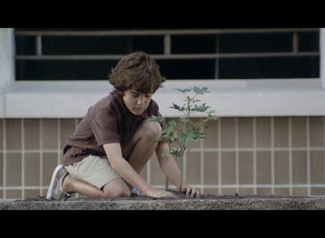 Video Reference: Plant, Window, Wood, Shorts, Happy, Knee, Thigh, Grass, Human leg, Flooring