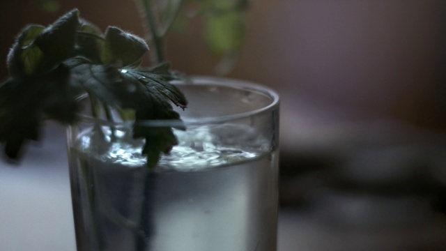 Video Reference: Tableware, Water, Ice cube, Liquid, Drinkware, Fluid, Ingredient, Solution, Alcoholic beverage, Cocktail