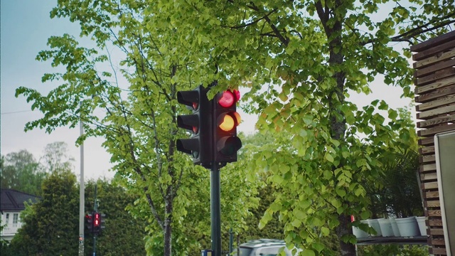 Video Reference: Sky, Motor vehicle, Traffic light, Street light, Tree, Traffic sign, Road, signaling device, Gas, Pole