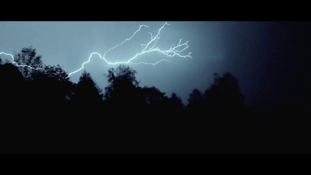 Video Reference: Lightning, Atmosphere, Thunder, Sky, Thunderstorm, Plant, Tree, Atmospheric phenomenon, Electricity, Midnight