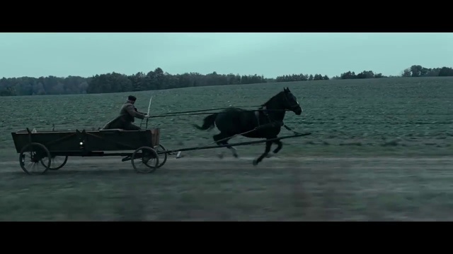 Video Reference: Horse, Wheel, Sky, Vertebrate, Tire, Vehicle, Working animal, Mammal, Mode of transport, Horse tack