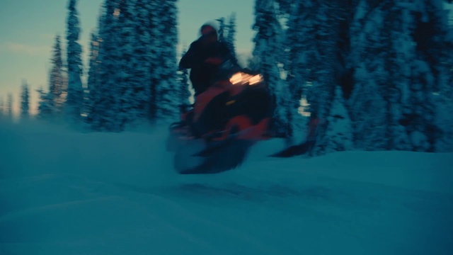 Video Reference: Snow, Slope, Outdoor recreation, Ice cap, Tree, Winter sport, Aqua, Freezing, Glacial landform, Mountainous landforms