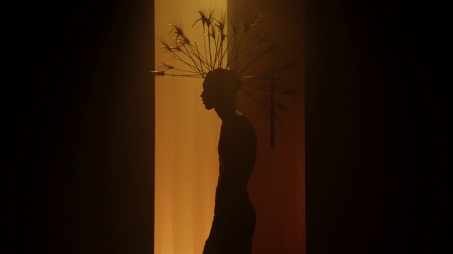 Video Reference: Plant, Wood, Twig, Gesture, Art, Tree, People in nature, Flash photography, Tints and shades, Rectangle