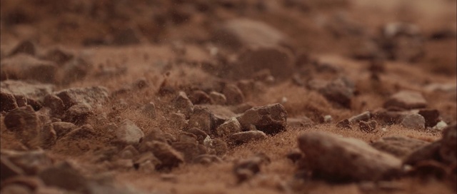 Video Reference: Wood, Plant, Bedrock, Terrestrial animal, Natural landscape, Landscape, Grass, Snake, Scaled reptile, Soil