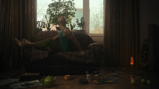 Video Reference: Window, Comfort, Plant, Wood, Tree, Interior design, Couch, Curtain, Floor, Living room