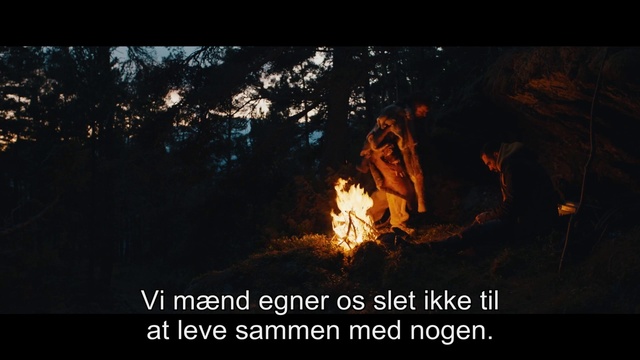 Video Reference: Natural landscape, World, Fire, Tree, Flame, Wood, Heat, Landscape, Bonfire, Font