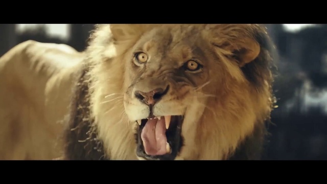 Video Reference: Carnivore, Roar, Felidae, Jaw, Fang, Organism, Whiskers, Terrestrial animal, Adaptation, Happy