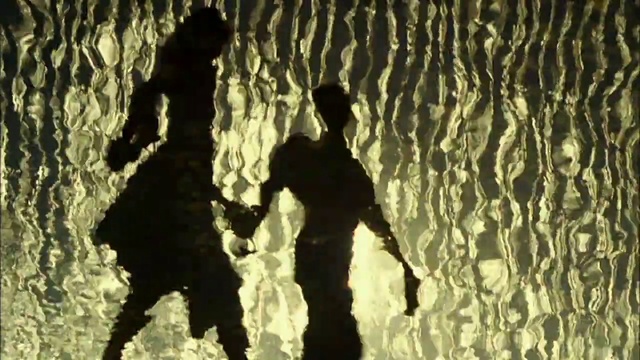 Video Reference: People in nature, Mammal, Gesture, Wood, Tints and shades, Art, Reflection, Pattern, Trunk, Soil