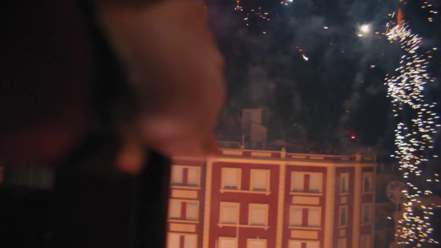 Video Reference: Fireworks, Tree, Entertainment, Event, Darkness, Sky, New year, Midnight, Wood, Heat