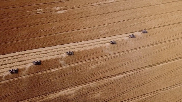 Video Reference: Brown, Wood, Flooring, Floor, Wood stain, Plank, Material property, Varnish, Table, Hardwood