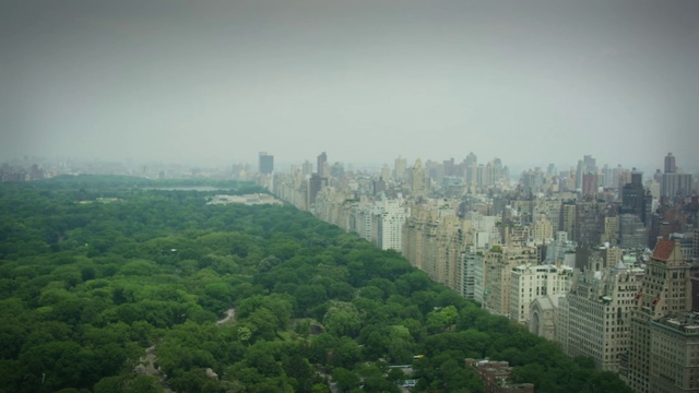 Video Reference: Sky, Building, Cloud, Skyscraper, Tree, Tower block, Urban design, Atmospheric phenomenon, Landscape, Cityscape