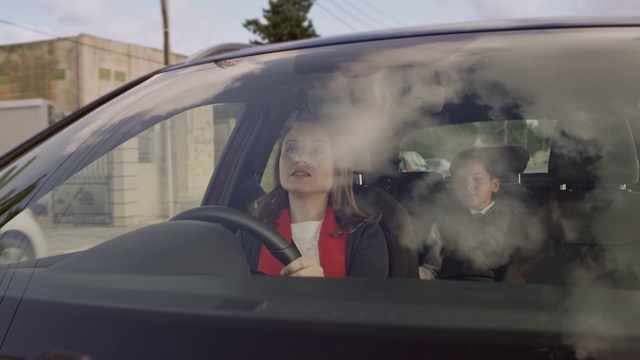 Video Reference: Vehicle, Car, Motor vehicle, Hood, Automotive lighting, Automotive mirror, Smile, Window, Automotive design, Rear-view mirror