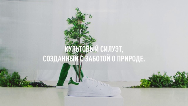 Video Reference: Plant, World, Organism, Terrestrial plant, Flowerpot, Font, Grass, Houseplant, Art, Urban design