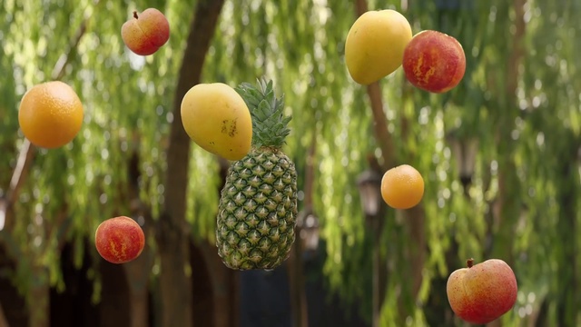 Video Reference: Daytime, Nature, Leaf, Botany, Branch, Natural environment, Twig, Organism, Grass, Wood