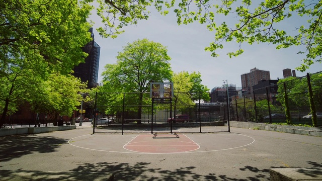 Video Reference: Sky, Building, Plant, Road surface, Tree, Street light, Asphalt, Grass, Urban design, Thoroughfare