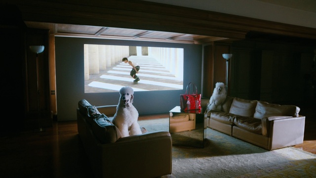 Video Reference: Property, Couch, Comfort, Building, Interior design, Flooring, Living room, Floor, House, Shade