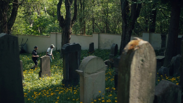 Video Reference: Plant, Tree, Leaf, Cemetery, Headstone, Biome, Flower, Grass, Grave, Groundcover