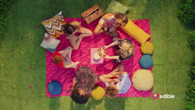 Video Reference: Green, Purple, Organism, Pink, Magenta, Red, Adaptation, Grass, Petal, Linens