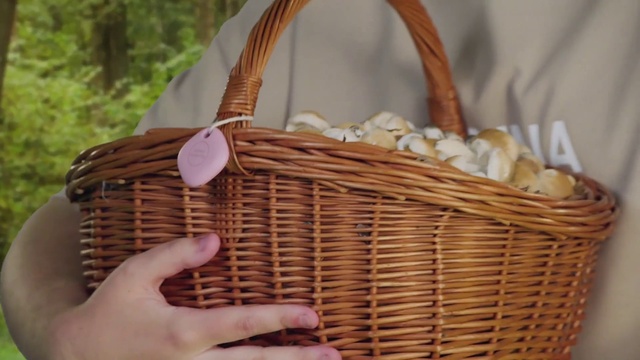 Video Reference: Storage basket, Natural material, Basket, Wood, Picnic basket, Beige, Wicker, Twig, Pattern, Event