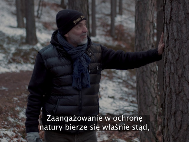 Video Reference: Snow, Sleeve, People in nature, Tree, Cap, Gesture, Glove, Freezing, Jacket, Wood