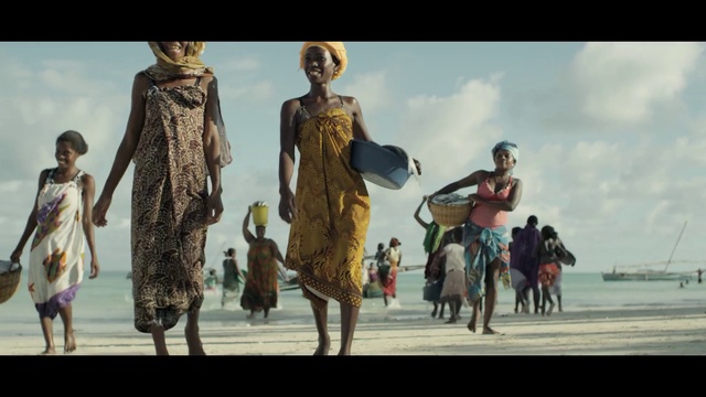 Video Reference: Sky, Cloud, People on beach, Happy, Travel, People in nature, Leisure, Landscape, Event, Entertainment