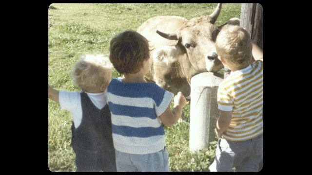 Video Reference: Shirt, Vertebrate, Happy, Gesture, Working animal, People in nature, Grass, Interaction, Fawn, Adaptation