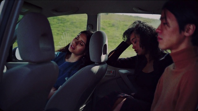 Video Reference: Car, Vehicle, Window, Smile, Seat belt, Motor vehicle, Automotive design, Plant, Head restraint, Tree