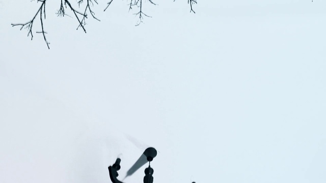 Video Reference: Sky, Gesture, Twig, People in nature, Happy, Pole, Recreation, Elbow, Wing, Monochrome photography