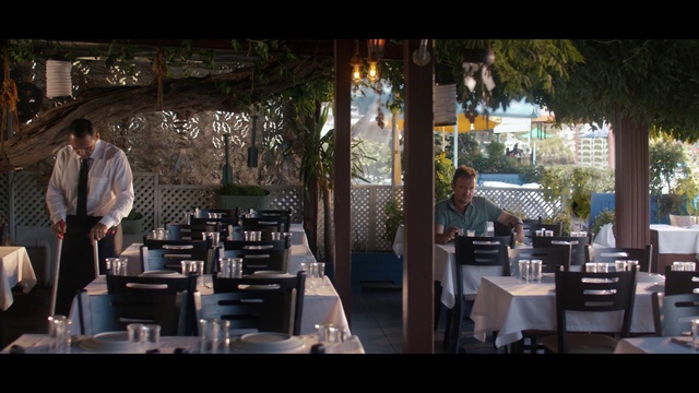 Video Reference: Furniture, Table, Plant, Interior design, Chair, Tree, Leisure, Event, Customer, Kitchen & dining room table