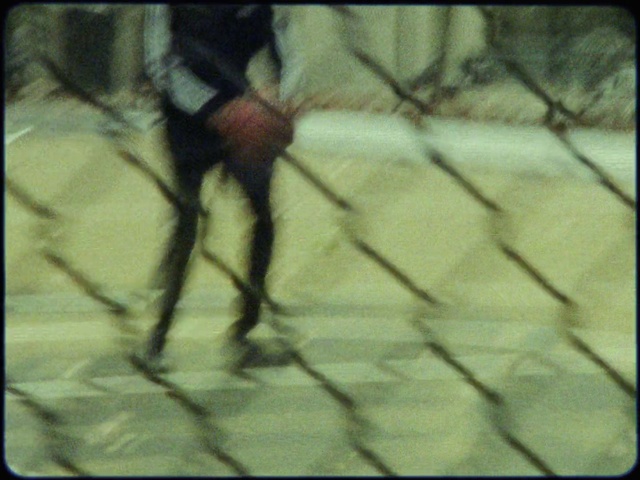 Video Reference: Fence, Tree, Mesh, Twig, Thigh, Tints and shades, Rectangle, Wire fencing, Pattern, Font