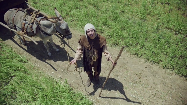 Video Reference: Plant, Working animal, Farmer, Grass, Soldier, Pack animal, Marines, Terrestrial animal, Soil, Recreation