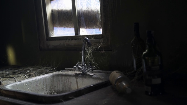 Video Reference: Window, Tap, Plumbing fixture, Wood, Building, Plumbing, Tints and shades, Flooring, Hardwood, Glass