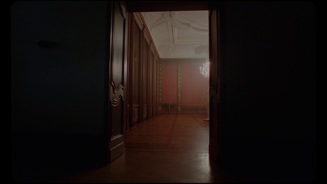 Video Reference: Wood, Hall, Flooring, Building, Tints and shades, House, Hardwood, Art, Darkness, Symmetry
