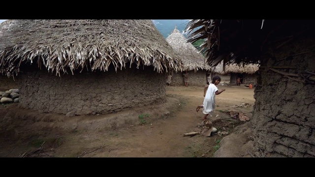 Video Reference: Thatching, Tree, Arecales, Plant, Grass, Tints and shades, Flash photography, Landscape, Sky, Hut