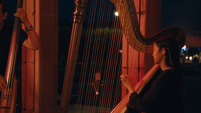 Video Reference: Harp, Harpist, Musical instrument, Clàrsach, String instrument, String instrument, Musician, Plucked string instruments, Folk instrument, Entertainment