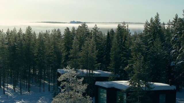 Video Reference: Sky, Water, Property, Nature, Branch, Slope, Tree, Natural landscape, Larch, Snow