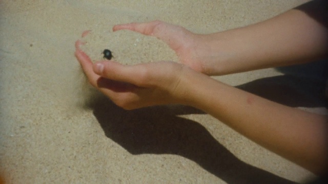 Video Reference: Gesture, Finger, Wood, Nail, Wrist, Thumb, Barefoot, Foot, Flooring, Human leg