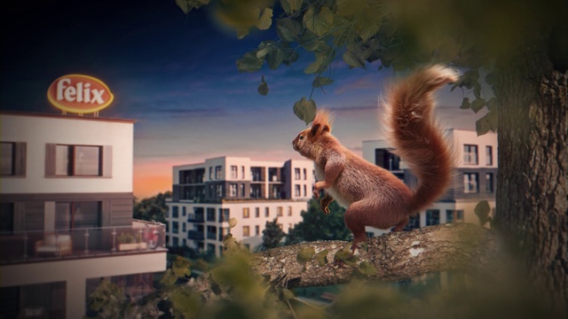 Video Reference: Window, Building, Plant, Felidae, Tree, Small to medium-sized cats, Whiskers, Fawn, Sky, Art