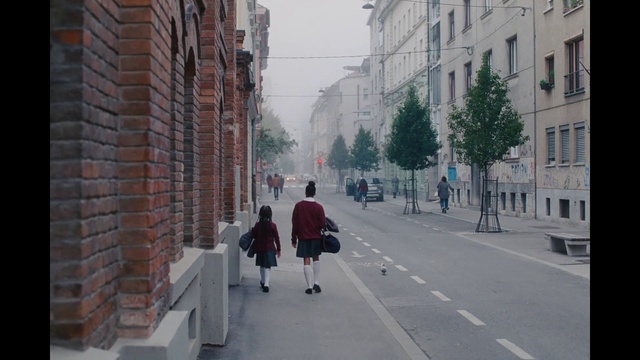 Video Reference: Building, Window, Sky, Infrastructure, Road surface, Wheel, Plant, Urban design, Tire, Tree