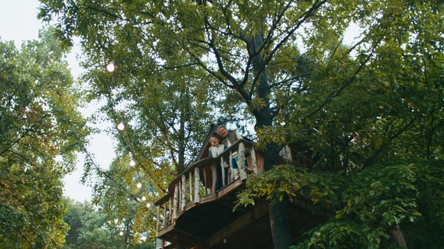 Video Reference: Building, Plant, Window, Tree, Trunk, House, Sky, Twig, Tints and shades, Grass