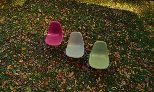 Video Reference: Grass, Road surface, Flooring, Wood, Tints and shades, Lawn, Petal, Groundcover, Guitar accessory, Automotive tire