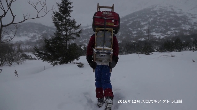 Video Reference: Mountain, Sky, Snow, Plant, Tree, Slope, Freezing, Bag, Mountainous landforms, Geological phenomenon