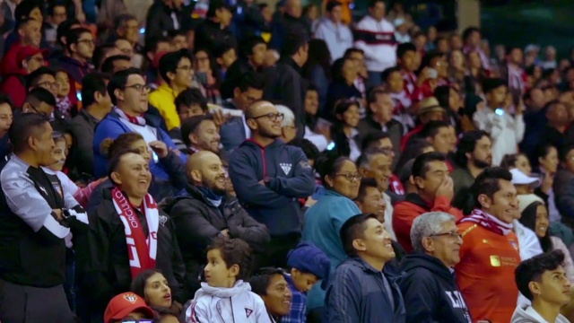 Video Reference: Hat, Crowd, Fan, Jacket, Event, Competition event, Championship, Suit, Stadium, Audience