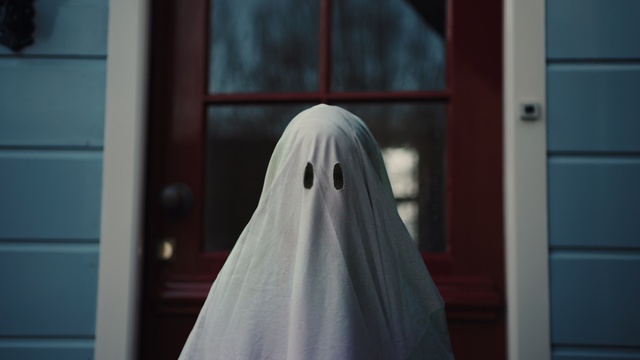 Video Reference: Eye, Sleeve, Wood, Tree, Bridal veil, Headgear, Street fashion, Art, House, Long hair