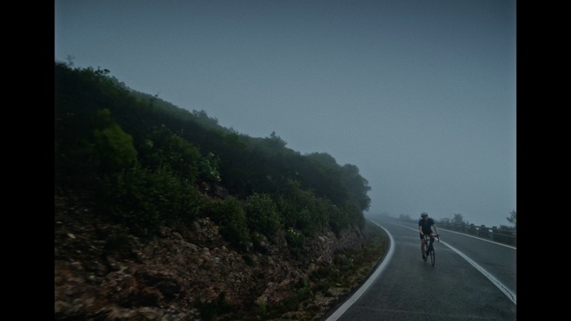 Video Reference: Bicycle, Sky, Tire, Bicycles--Equipment and supplies, Wheel, Bicycle wheel, Plant, Cloud, Road surface, Asphalt