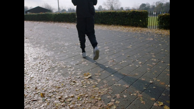 Video Reference: Plant, Sky, Leg, Road surface, Asphalt, Grass, People in nature, Flooring, Tar, Sidewalk